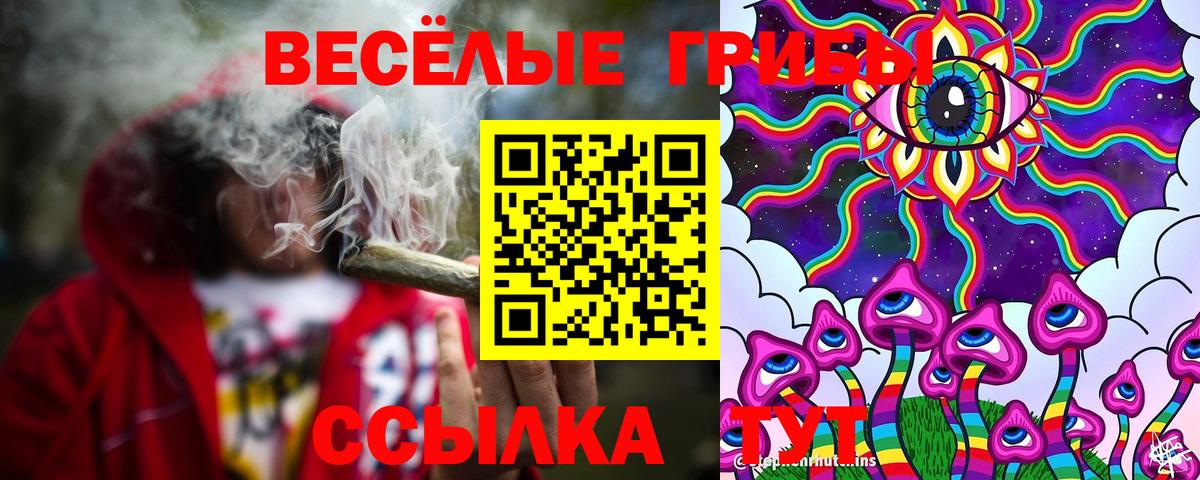 Галлюциногенные грибы Magic Shrooms  Вход с VPN  где найти   Домодедово 